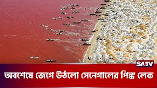 লবণের দানায় ফিরলো হাজারো পরিবারের হাসি | SaltFarming | Bangladesh | SATV