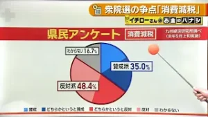 【お金のハナシ】衆院選の争点「消費減税」 News＋おやっと！特集(2月4日(水)放送)