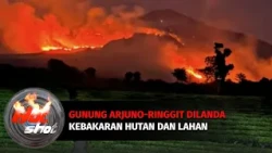 Kebakaran Hutan dan Lahan Melanda Lereng Gunung Arjuno-Ringgit | Hot Shot