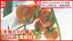 [From Across the Country] Support Kumamoto Farmers by Eating Their Produce! The Growing Wave of S...