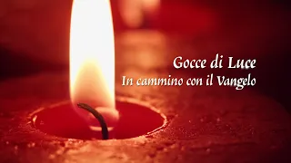 Drops of Light. Journeying with the Gospel 07/11/2026