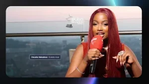 AN INFLUENCER DEFINITION