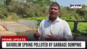 Davorlim Spring Polluted by Garbage Dumping
