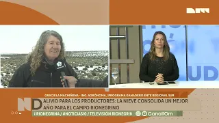 Maquinchao: Intense snowfall renews livestock farming prospects in the Southern Region