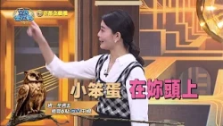 《全民星攻略》女性展現魅力 裝弱最有用？