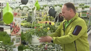 Wie Running Sushi: Blumen kaufen vom Förderband