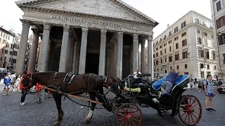 Ultimo giro in carrozza, Roma vuole mettere al bando le "botticelle"