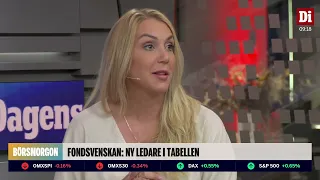 Bäst förvaltade svenska fonderna: "Lyckats hitta rätt"