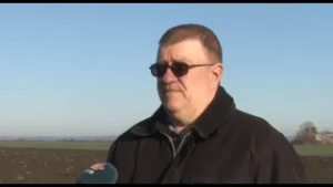 Pšenica u dobrom stanju