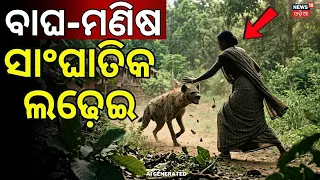 ଛୁଆ ପାଇଁ ବାଘ ସହ ଲଢ଼େଇ | Mother Fights Hyena with Bare Hands to Save Child | Malkangiri Tiger News