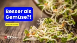 Sprouts vs. Vegetables – Which Is Truly More Nutritious? Experience-Based Medicine | QS24