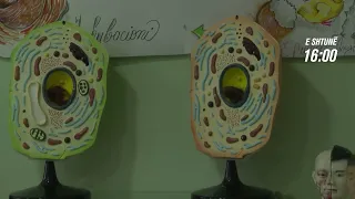 Promo - Kriter -Mësimi bashkëkohor