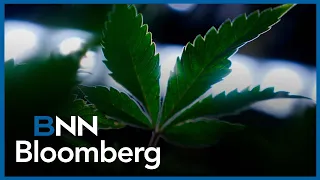'We think they should reject this offer': Aurora Cannabis CEO's on Curaleaf bid