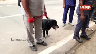 Security Tightened with Bomb and Dog Squads Ahead of Independence Day | Kalinga TV