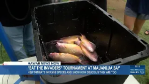 Fishing tournament helps mitigate invasive species, shows how delicious they taste