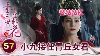 姑姑倒下了小狐狸被迫長大 年紀輕輕扛起女帝之位【三生三世十里桃花】精華 EP57-6 楊冪、趙又廷、迪麗熱巴、高偉光、張智堯 @ctvdrama_classic