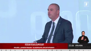 ინტერვიუ ლევან მაჭავარიანთან #დღისთემა