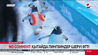 No comment: Қытайда пингвиндер шеруі өтті