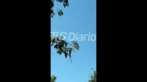 Traslado de paciente al Rawson