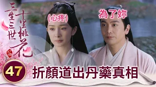 得知深情太子為她斷臂重傷 女帝終於認清自己的心意 心急如焚的想去陪在他身邊！【三生三世十里桃花】精華 EP47-4 楊冪、趙又廷、迪麗熱巴、高偉光、張智堯 @ctvdrama_classic