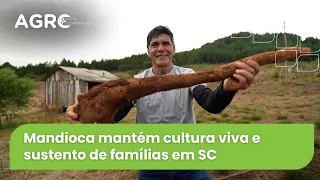 Agro Saúde e Cooperação - Engenhos de farinha e Mandioca