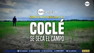 Exclusive Content: Coclé, the countryside is drying up