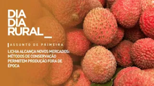 Lichia alcança novos mercados: métodos de conservação permitem produção fora de época