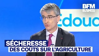 Drought: "Damage from natural disasters will increase" (Édouard Vieillefond)