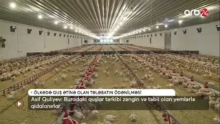 Masallıda illik quş əti istehsalı 3 min tondur