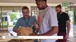 Baby Jesus stolen in Medellín is recovered in Armenia, but the priest refuses to take it back