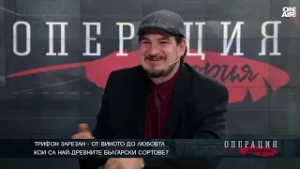 Къде се е родило виното в Европа?