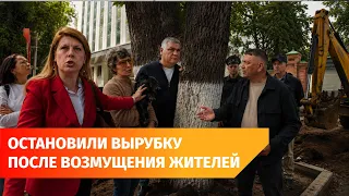 Ufa residents demand to save linden trees on Sovetskaya Street, halt redevelopment project