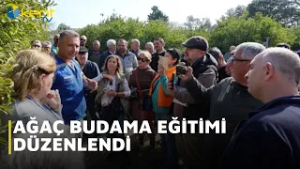 AĞAÇ BUDAMA EĞİTİMİ DÜZENLENDİ