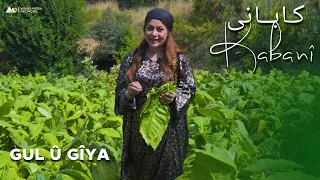 Kabanî - Xeleka 17 | کابانی - خەلەکا ١٧