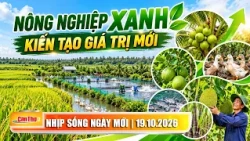Green Agriculture Creates New Value | Can Tho