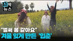 [자막뉴스] "벌써 봄 같아요" 겨울 잊게 만든 '입춘'