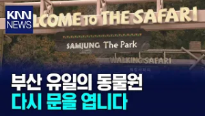 부산 삼정더파크 공립동물원으로 새 개장 / KNN