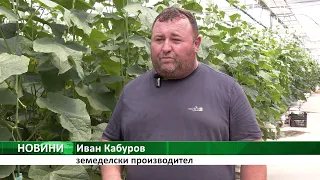 ЗЕЛЕНЧУКОПРОИЗВОДИТЕЛИ: Как ги засяга вносът от трети страни