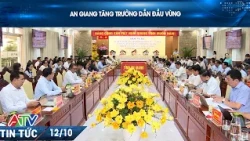 AN GIANG LEADS THE REGION IN ECONOMIC GROWTH