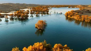 Start of the 27th Ecological Water Replenishment Phase for the Tarim River in Xinjiang