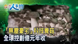 "Mansion-Style" Mushroom Farm Generates Over 100 Million in Revenue | Bio-Montagne Mushroom Leisu...