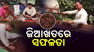 ଜିଆଖତରେ ସଫଳତା | Vermicompost Production Success Story | Krushi Darshan | DD Odia