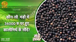Mandi Khabar | कौन-मंडी में 36000 रु पर हुए कालीमिर्च के सौदे? | DD Kisan | 28/02/2026