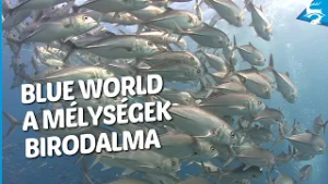 Blue World: Hawaii, Bonaire, Massachusetts