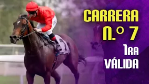 7MA CARRERA - CLUB HIPICO - HIPÓDROMO LA RINCONADA - 01 DE MARZO 2026 - 1ERA VALIDA 