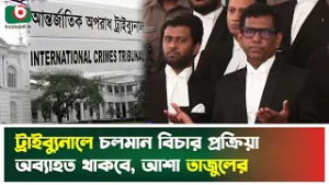ট্রাইব্যুনালে চলমান বিচার প্রক্রিয়া অব্যাহত থাকবে, আশা তাজুলের | Mohammad Tajul Islam | Tv News