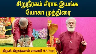 சிறுநீரகம் சீராக இயங்க யோகா முத்திரை | Kidney Function | Krishnan Balaji | MEGA TV