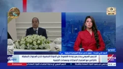 Ahmed Naji Qamha: Egyptian and Arab National Security Cannot Be Separated