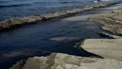 Oil slick from Strait of Hormuz reaches UAE's northern coast