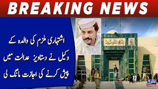 The lawyer for mother of the declared suspect sought permission to present the document in court.